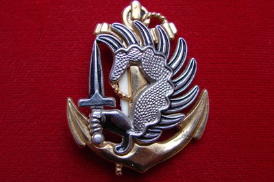 Знак отличия Французкий легион