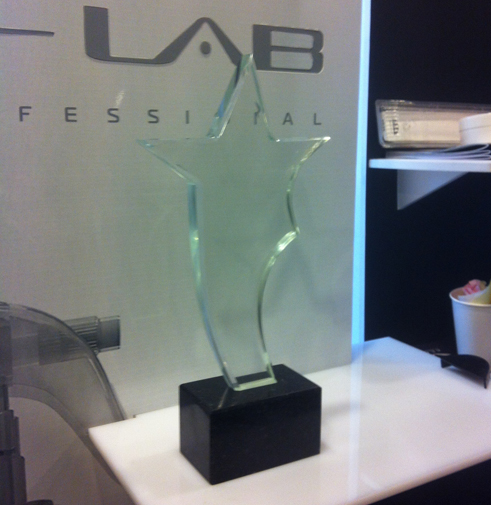 Приз Scissors Award 2012 стекло на камне